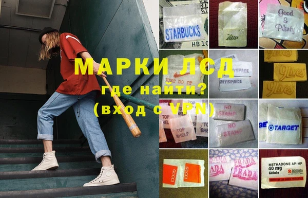 крисы Вязьма