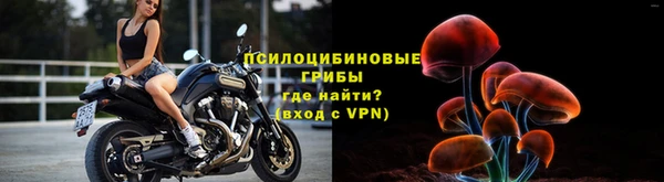 крисы Вязьма