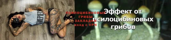 дмт Волосово
