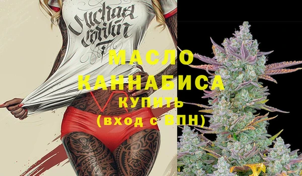 крисы Вязьма