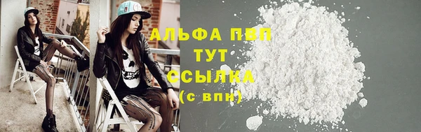 ECSTASY Вяземский