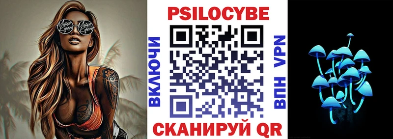 Галлюциногенные грибы Psilocybe  MEGA сайт  Дербент  цены наркотик 